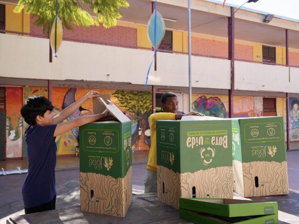 Estudiantes en una actividad de cuidado del medioambiente