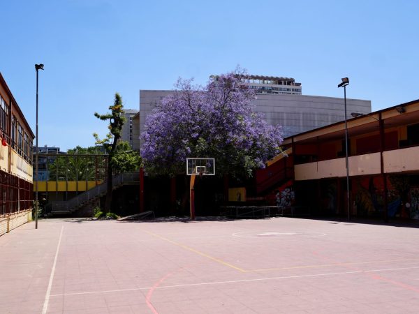 Estudiantes en una actividad de cuidado del medioambiente