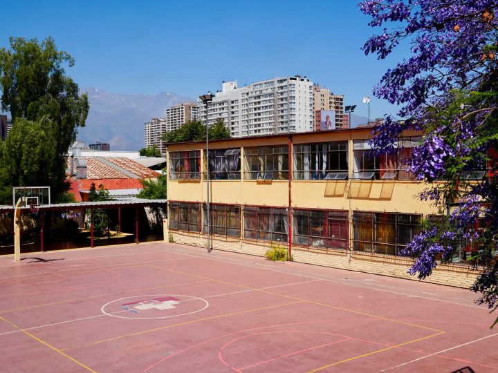 Fachada del liceo y su cancha, con un jacarandá en flor